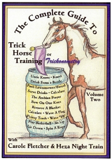 COMP GUIDE TO TRICK HORSE TRAINING 2 DVD